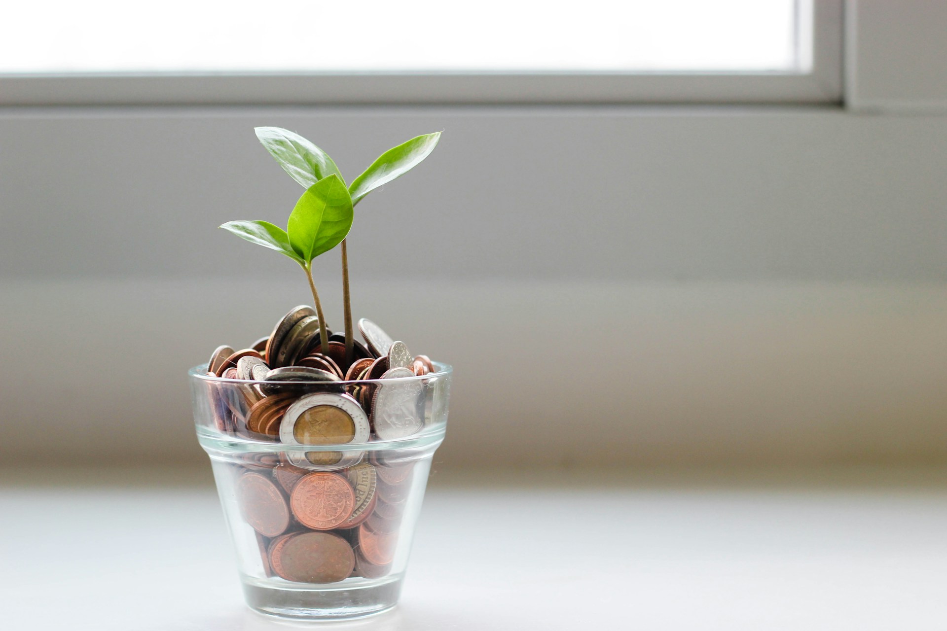 Glass of coins with root sprouting out of the top