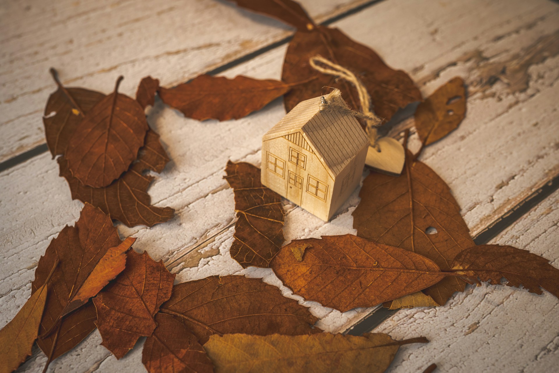 Wooden house surrounded by leaves