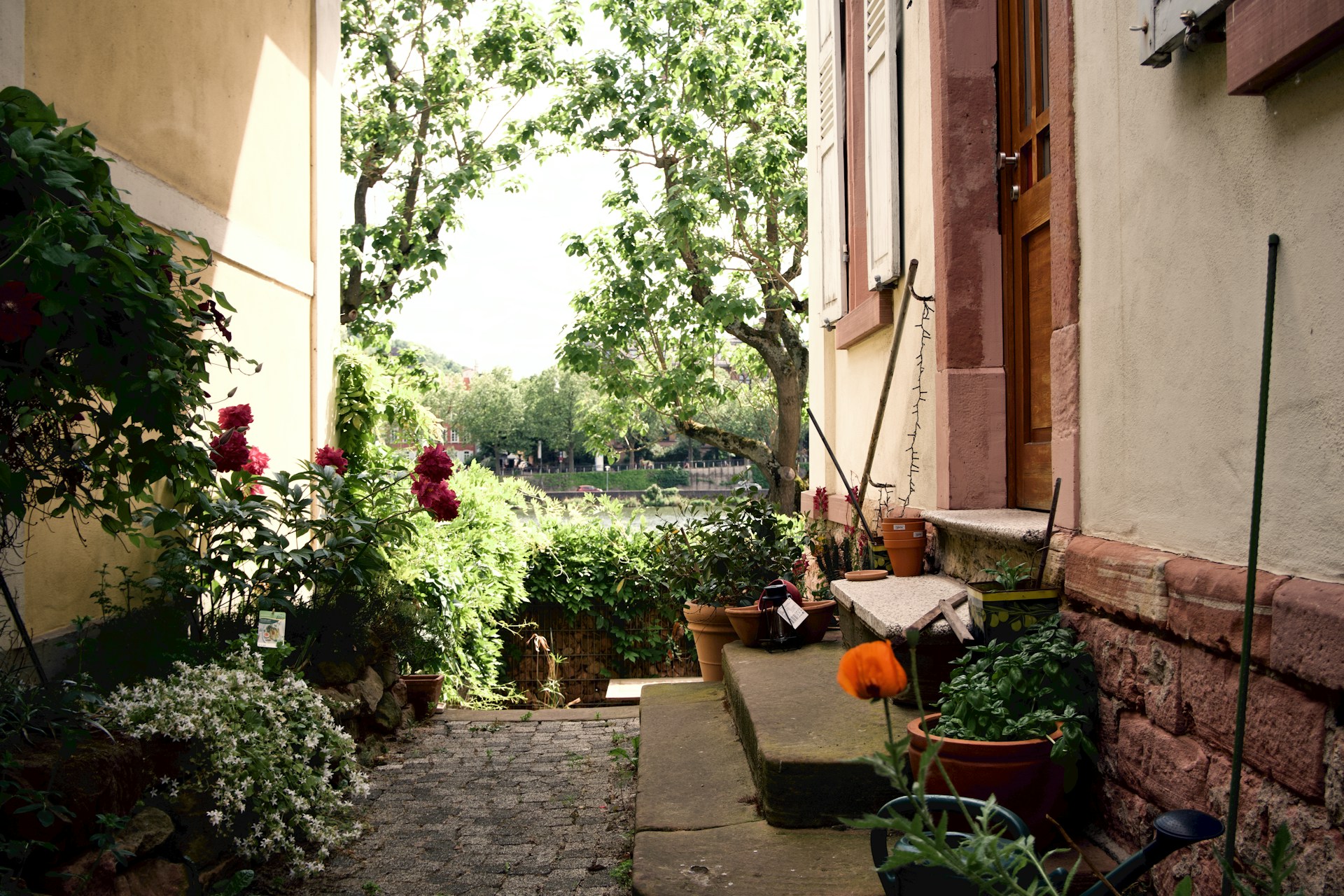 House with garden