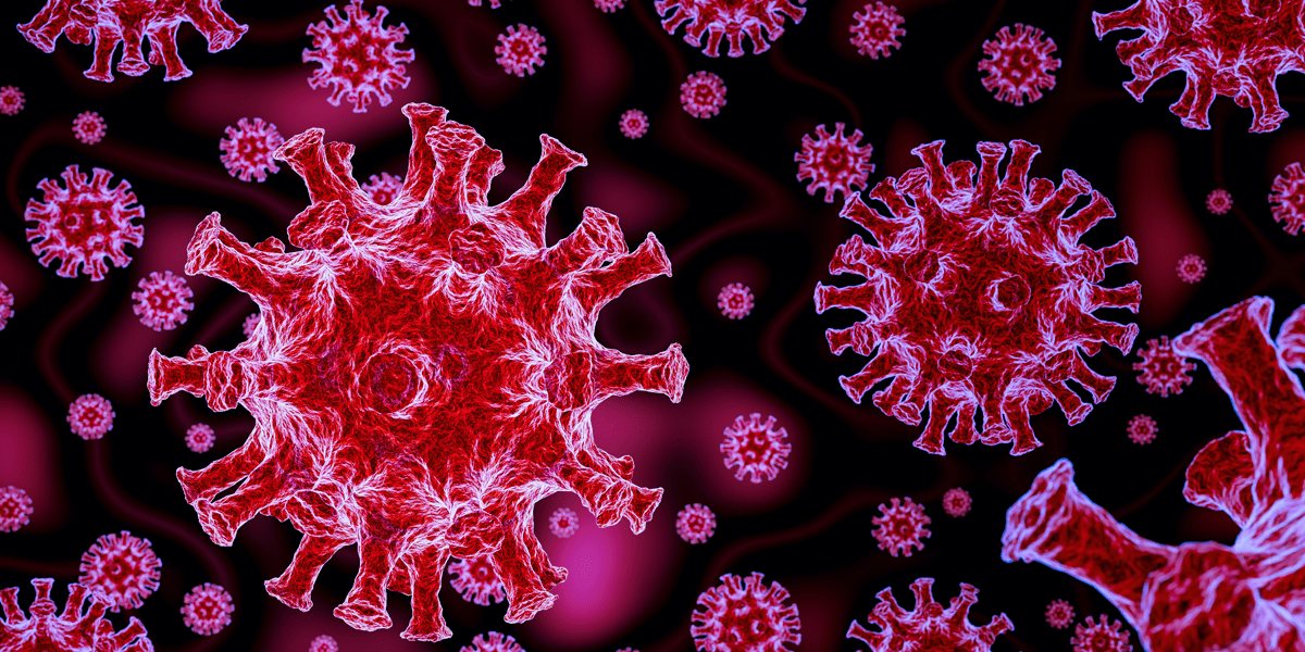 Covid 19 virus