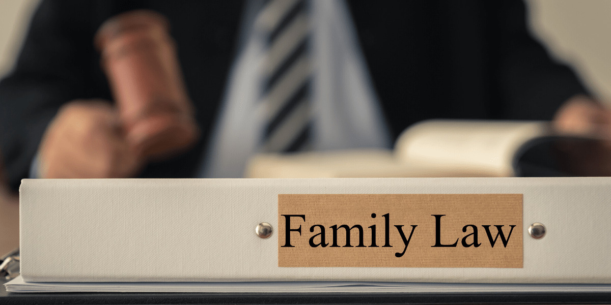 Family law binder with solicitor with gavel in the background.
