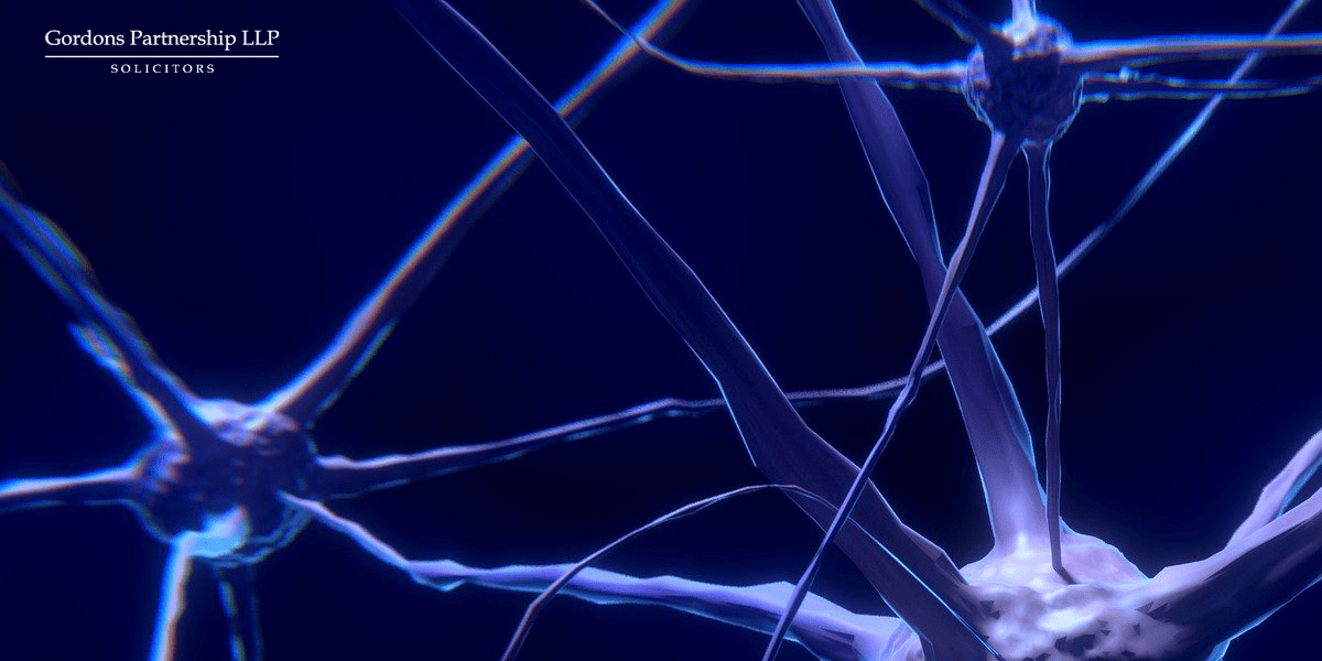Neurons